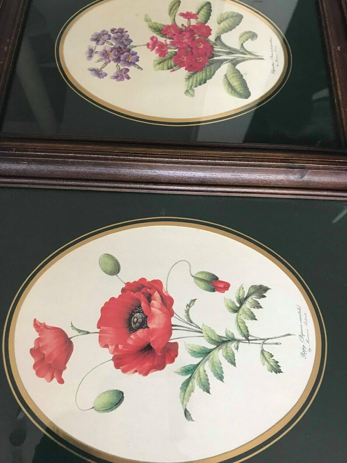 Botanical Art Wall Framed Print Vintage Set Of 2 Wall Hanging  Vintage Flower Print Botanica Print Wall Art Ready To Hang Framed Prints photo vintage