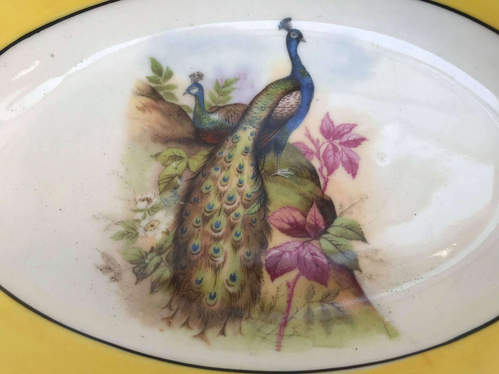 Antique Serving Dish Reticulated Porcelain Oval Open Work Bread Basket Veggie Dish Germany Bread Bowl Plate Dish Hand Painted Bird Peacock photo vintage