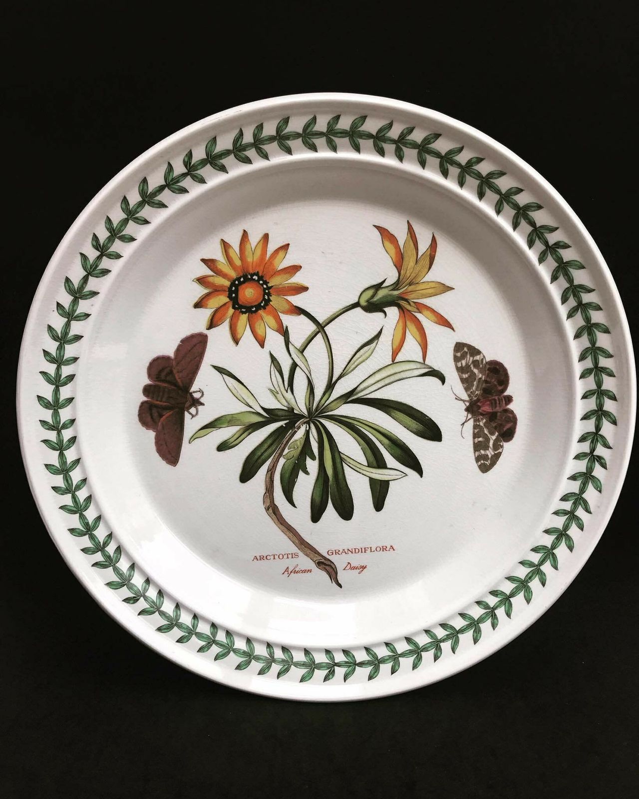 Portmeirion Botanica Dinner Plate 70s Botanic Garden Dinner Plate Cistus Purpureus" Woody Nightshade Made In England China Replacement photo furniture