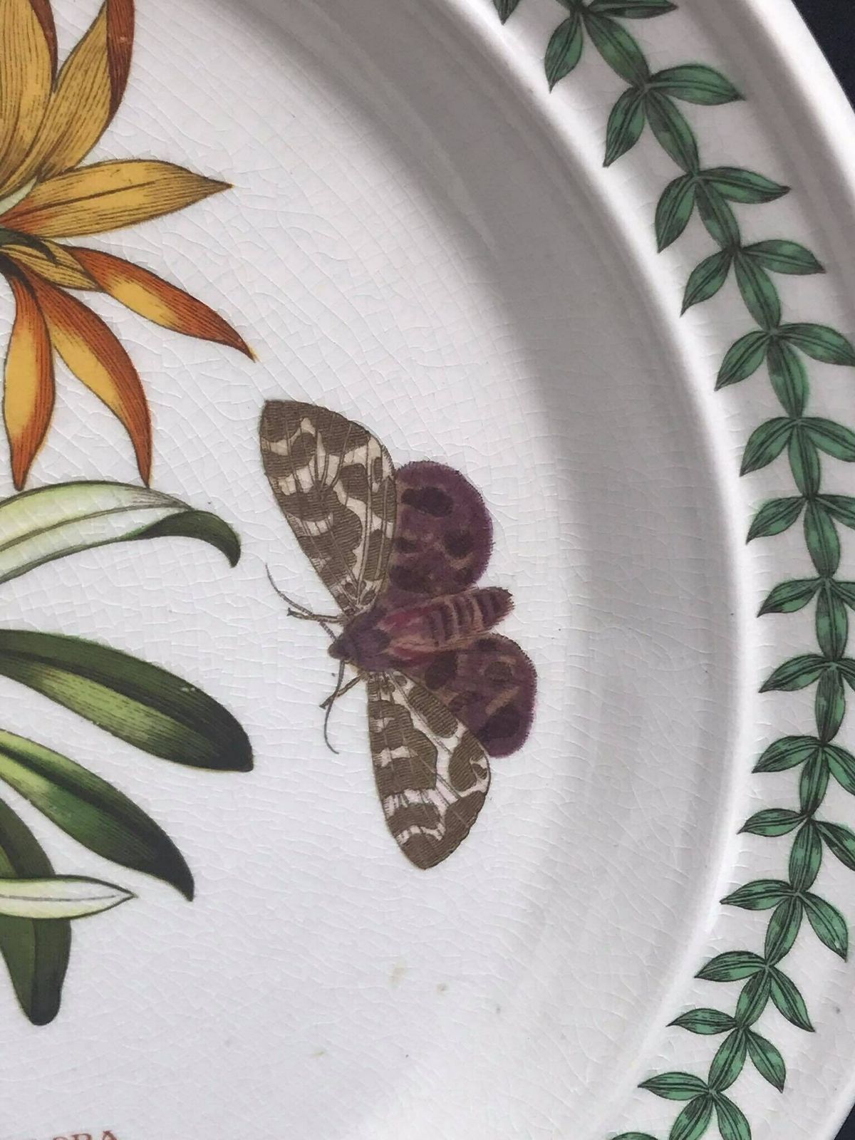 Portmeirion Botanica Dinner Plate 70s Botanic Garden Dinner Plate Cistus Purpureus" Woody Nightshade Made In England China Replacement photo 89.0