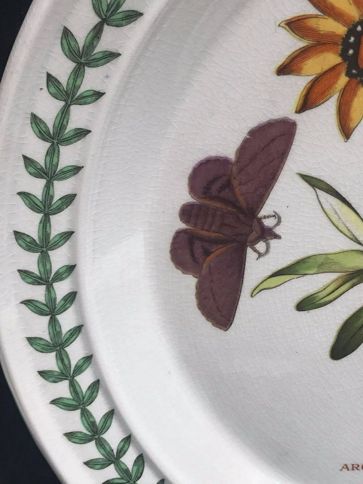 Portmeirion Botanica Dinner Plate 70s Botanic Garden Dinner Plate Cistus Purpureus" Woody Nightshade Made In England China Replacement photo vinterior