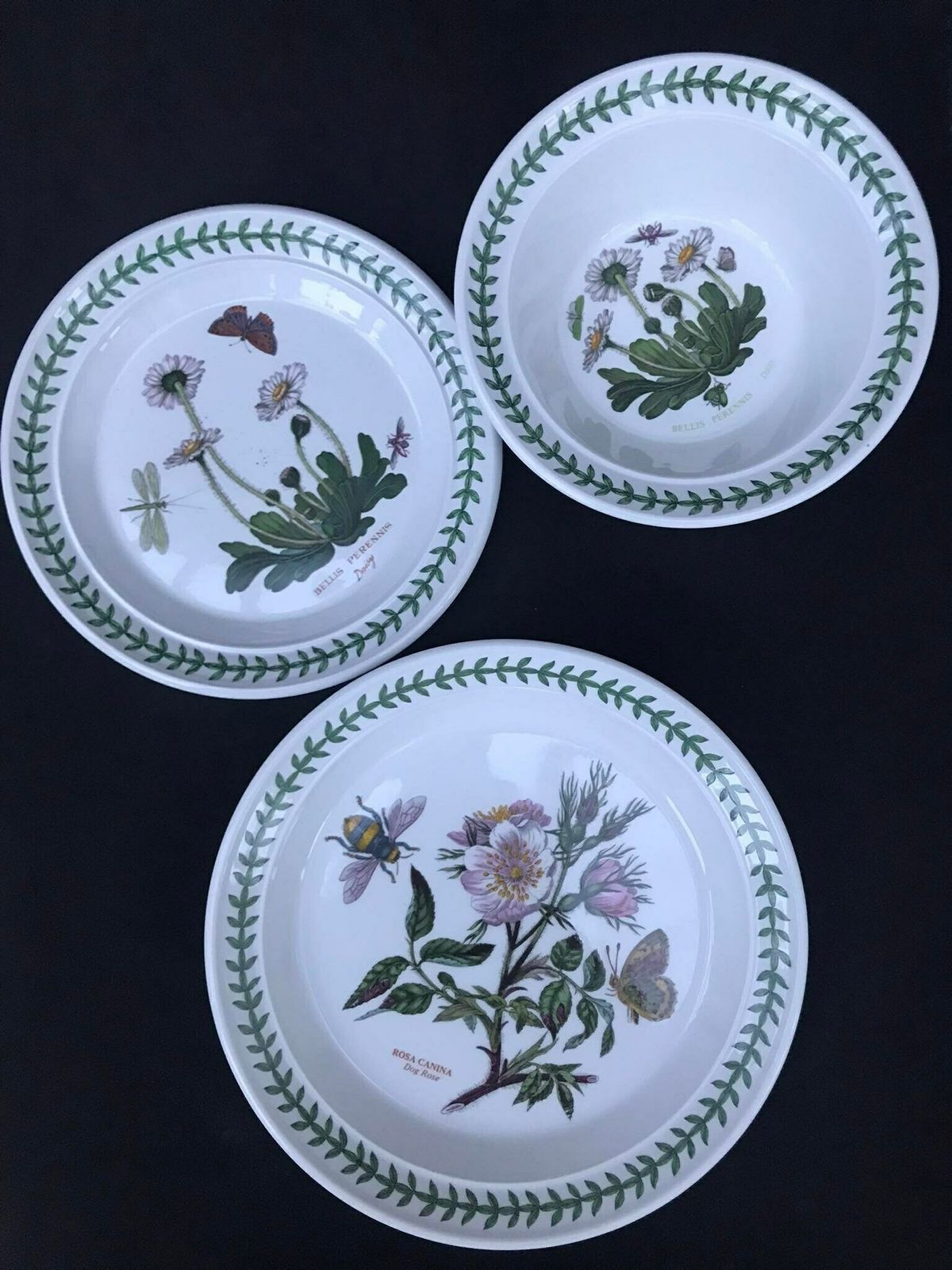 Portmeirion Botanica Salad Plate 21,7 Cm Diameter 8.5" Bread Butter Plate 7.2" Rim Cereal/Oatmeal Bowl Botanic Garden Rosa Replacement photo furniture