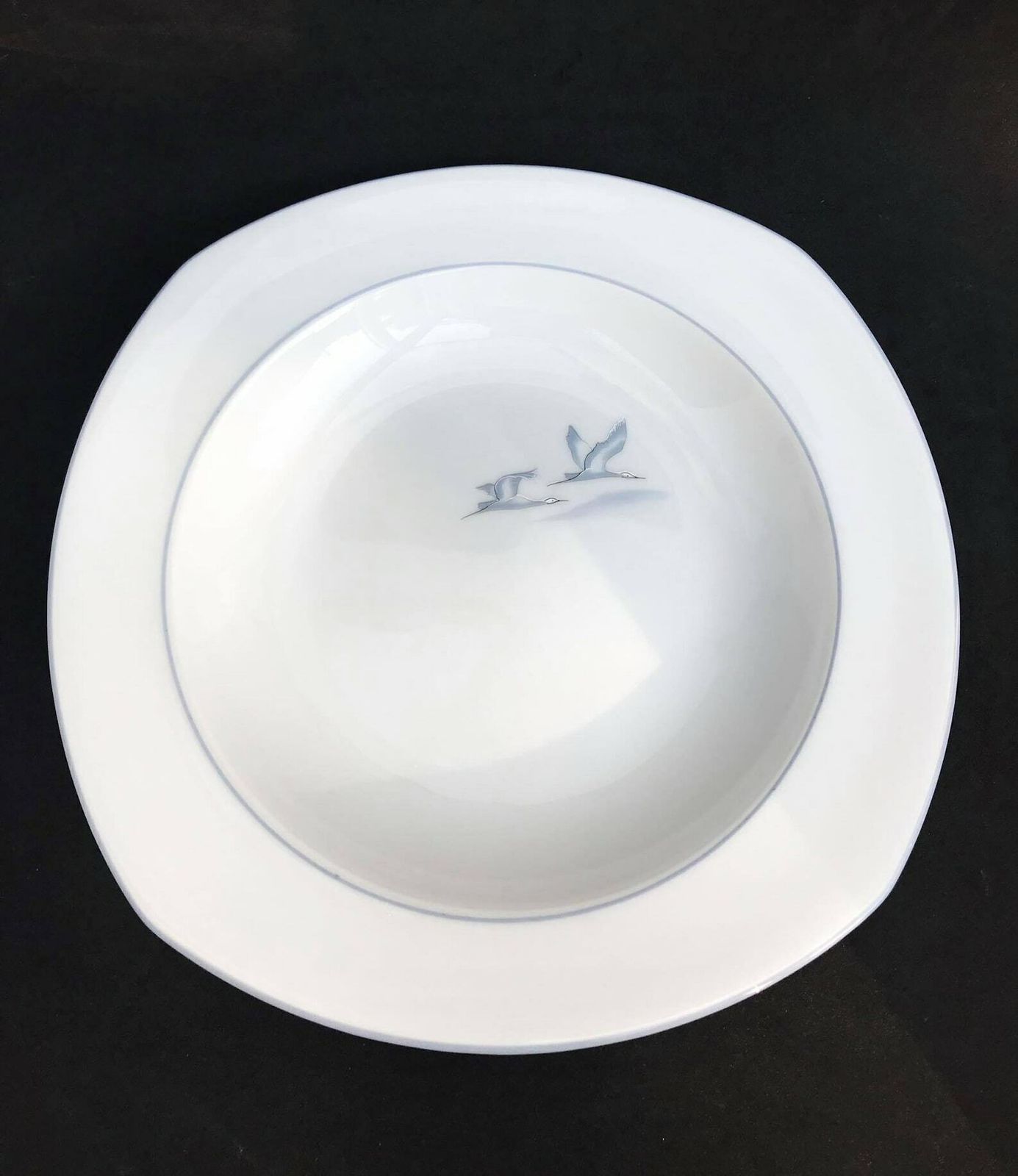 6 Soup Pasta Plates Porcelain Winterling Marktleuthen Spülmaschinenfest Bavaria Vintage Rare Replacemnt Birds Beachside Coast Kitchen photo vinterior