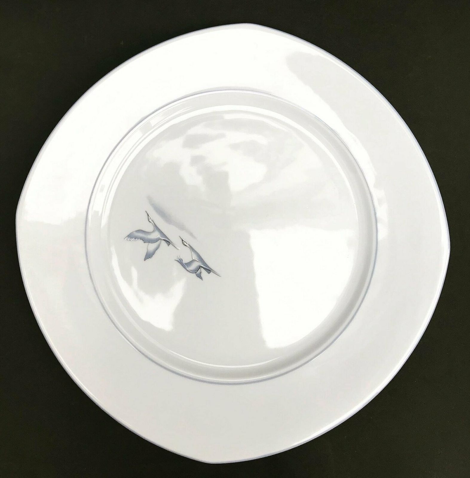 6 Starter Dessert Plates Porcelain Winterling Marktleuthen Spülmaschinenfest Bavaria Vintage Rare Replacemnt Birds Beachside Coast Kitchen photo 159.0