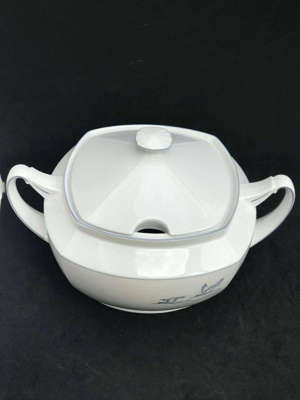 photo furniture Soup Tureen Porcelain Winterling Marktleuthen Spülmaschinenfest Bavaria Vintage Rare Replacemnt Birds Pattern Beachside Coast Kitchen