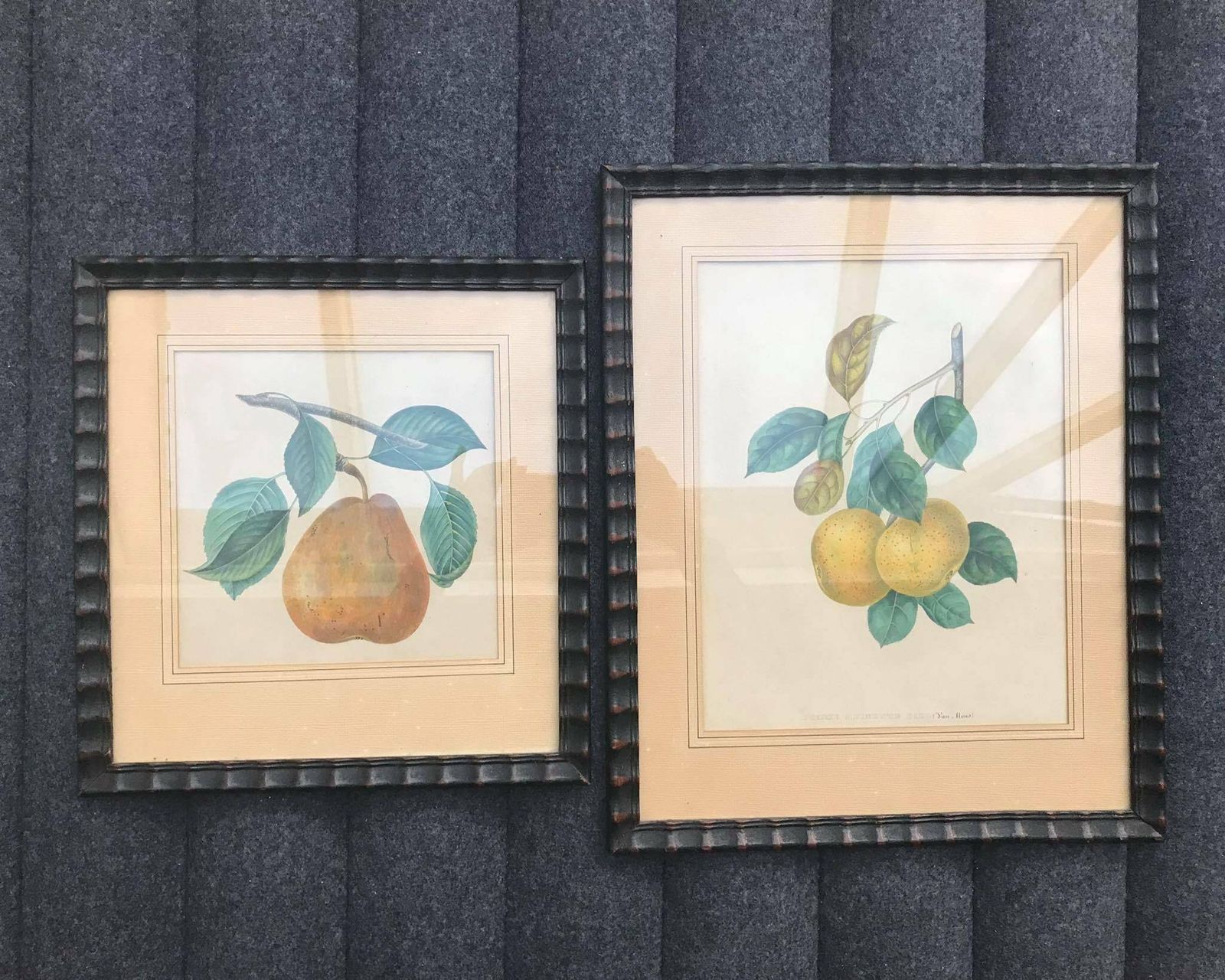 Botanical Wall Art Fruits Framed Prints Set 1960s Wall Art Set Of 2 Antique Flower Prints Set, Ready To Hang Cottage Chic Rustic Kitchen photo furniture