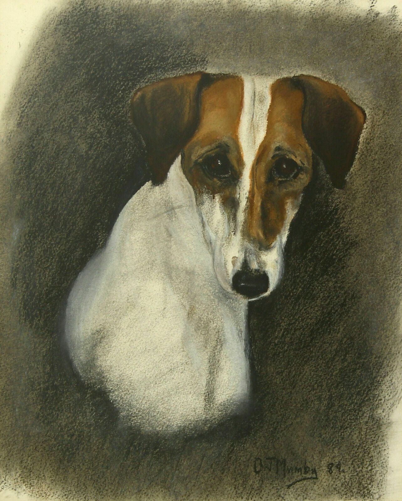 Pastel Of A Jack Russell By O. J. Mumby. photo furniture
