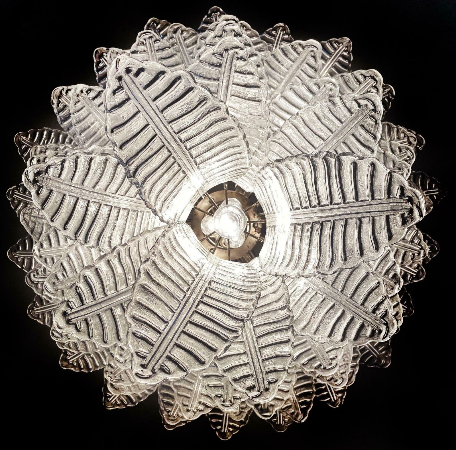 Wonderfull Italian Murano Felci Glass Chandeliers, 75 Clear Glasses photo vinterior