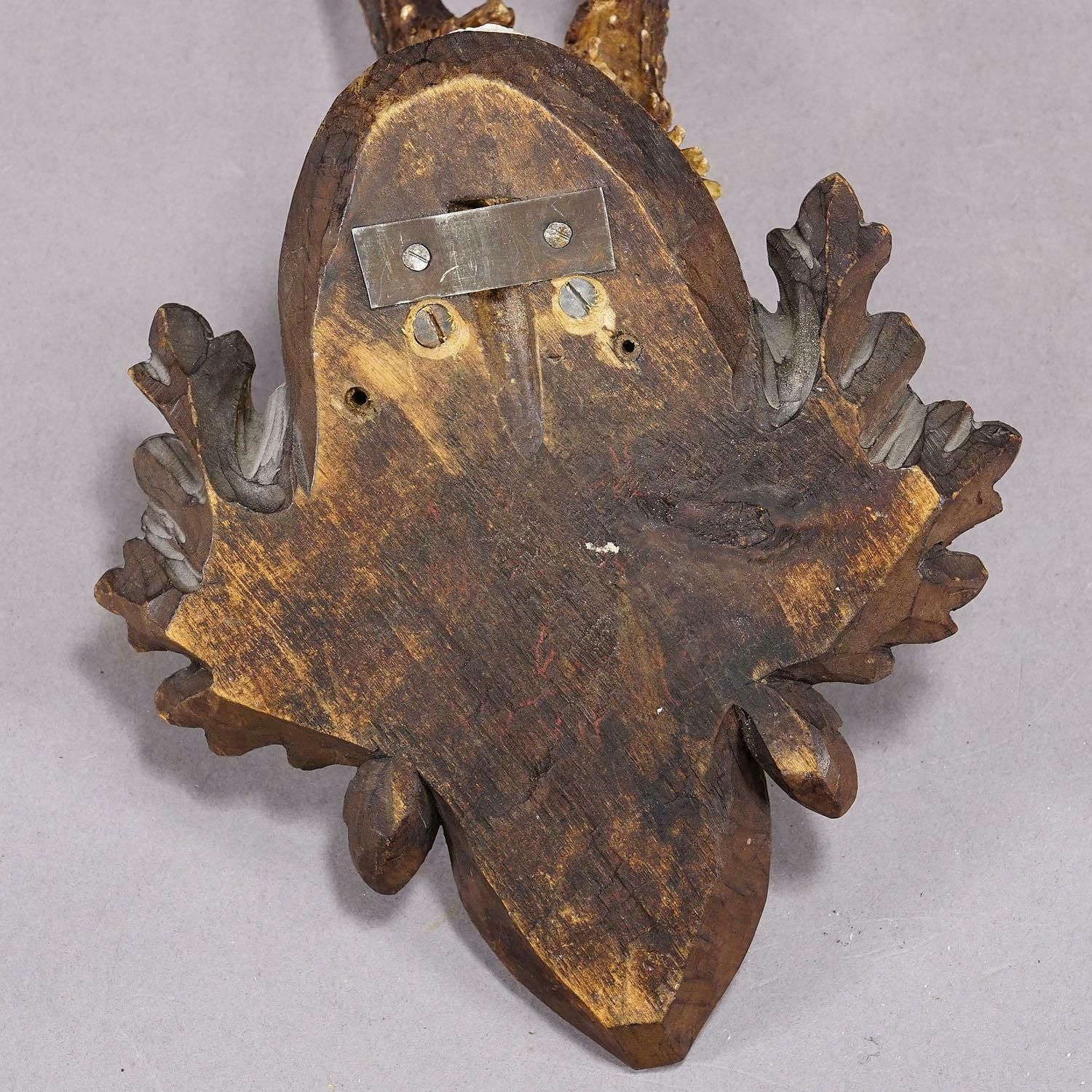 Great Deer Trophy Mount On Wooden Carved Plaque 1937 photo vinterior