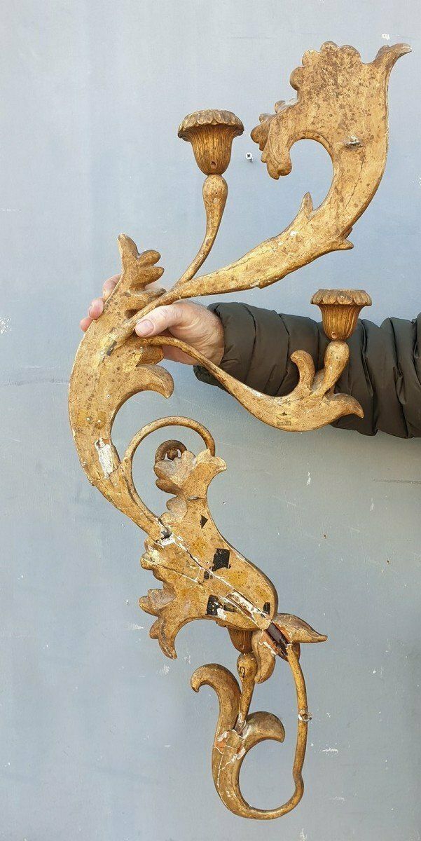photo furniture Large Sconce In Carved Golden Wood, Tuscany Xixth Century