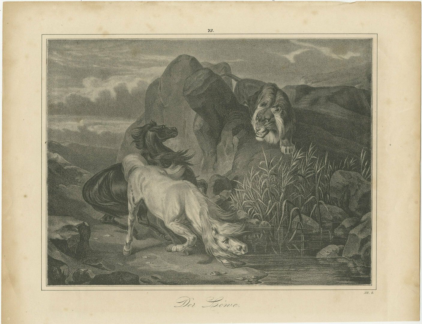 Original Antique Print Of Lion Sneaking Up On Horses