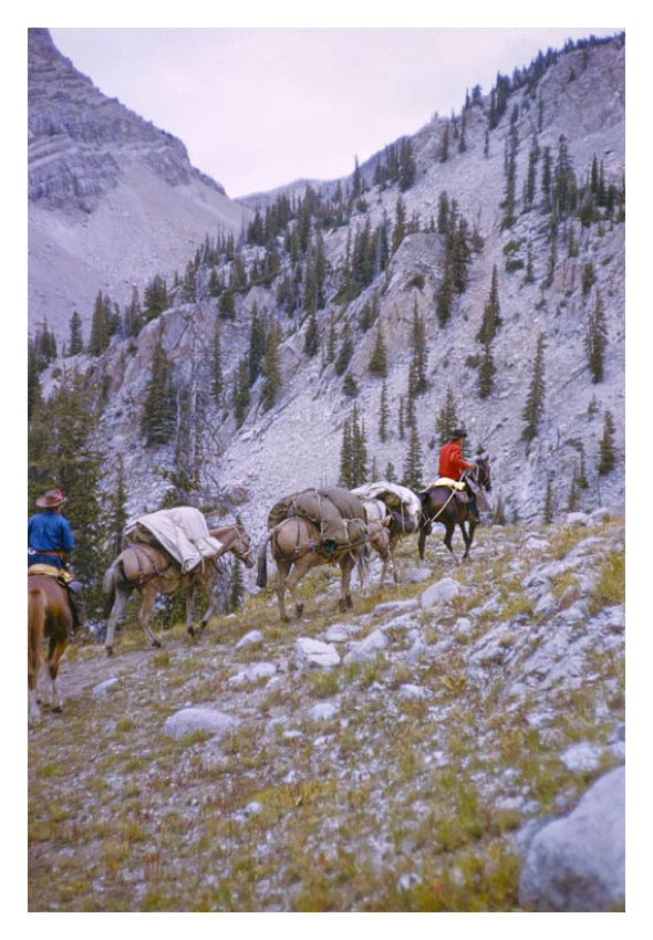 A Pack Trip In Wyoming By Toni Frissell Oversize Archival Pigment Print Framed In Brown photo furniture