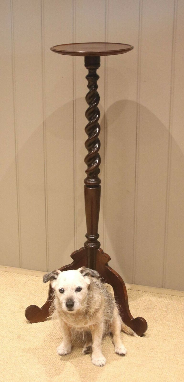 Late 19th Century Walnut Jardiniere Stand photo for sale
