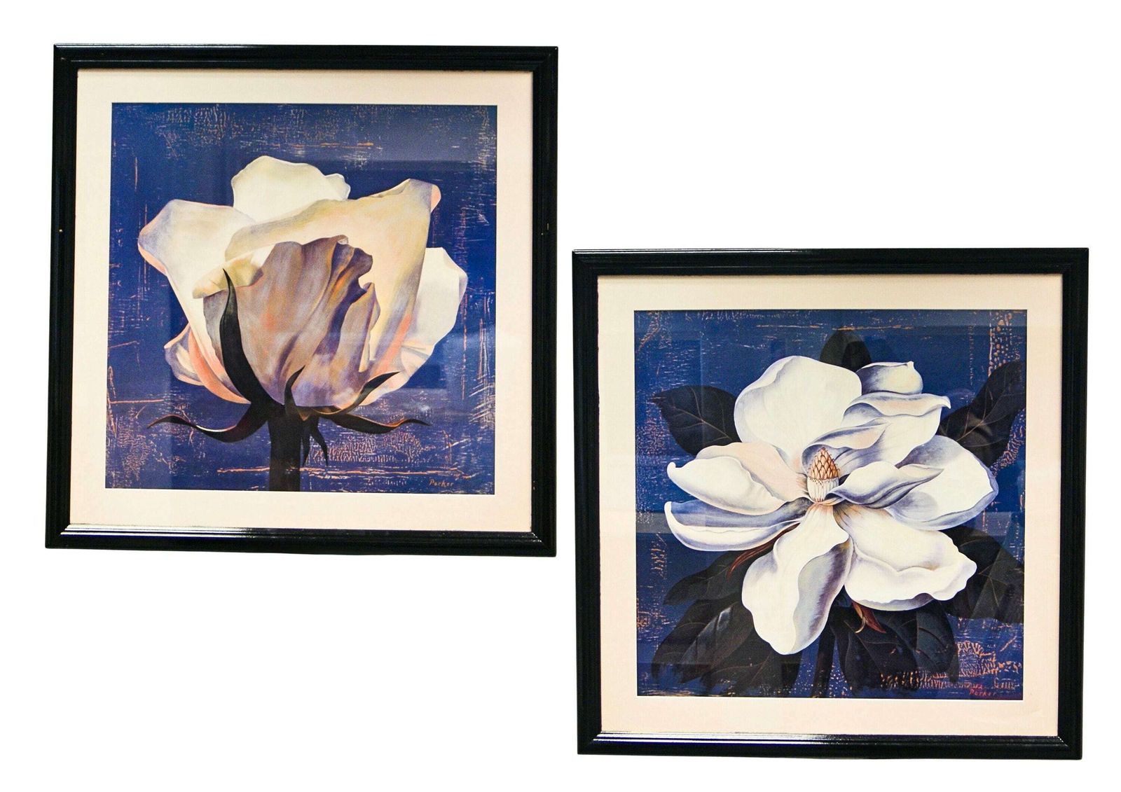 Set Of 2 Framed Art Prints Curtis Parker Glowing Magnolia & Glowing White Rose 78cm Sq Circa 1970s