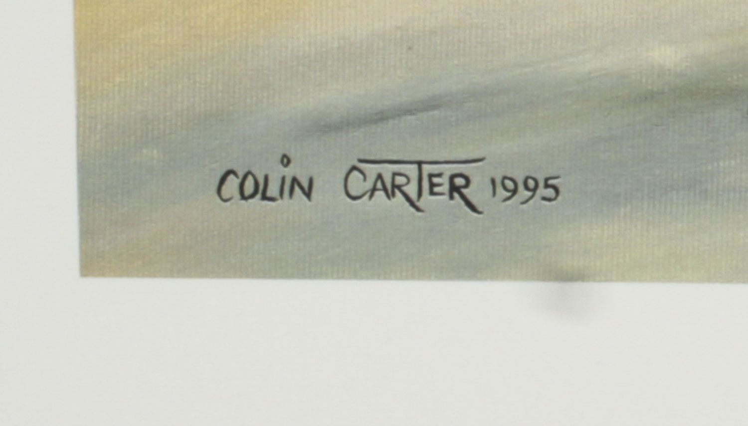 Large Printof  Alan Of Carl Fogarty On Ducati By Colin Carter 1995 photo 230.0