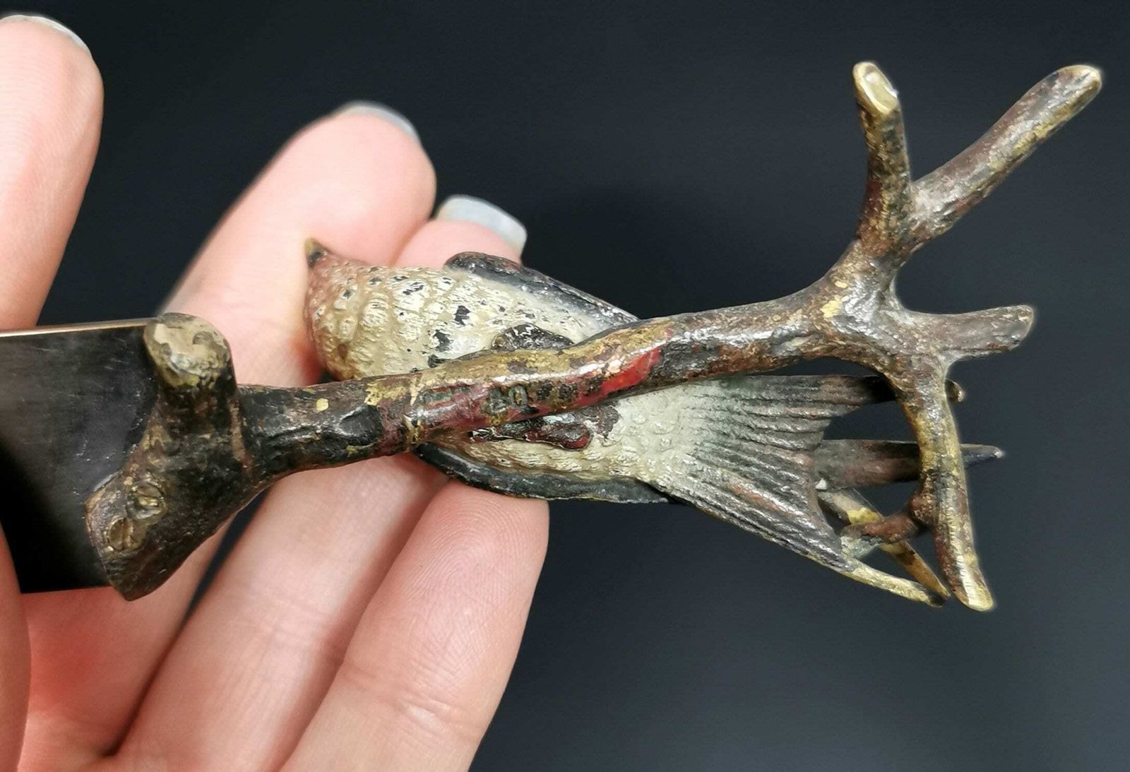Antique Cold Painted Bronze Letter Opener, Bird, Austrian photo 416.0