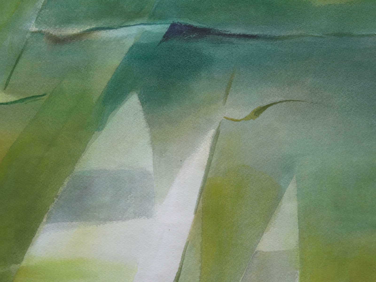 Zigmunds Snore Regatta. 2019. Watercolour, Paper photo Art
