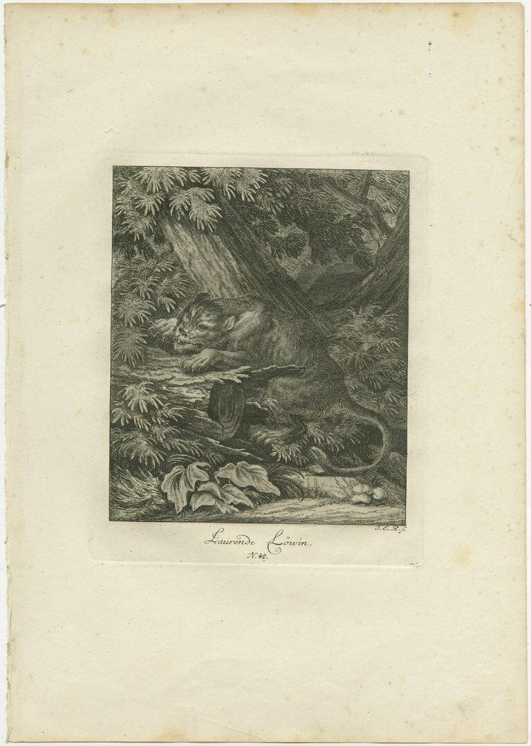 Set Of 2 Antique Prints Of A Lioness Hunting And Resting photo furniture