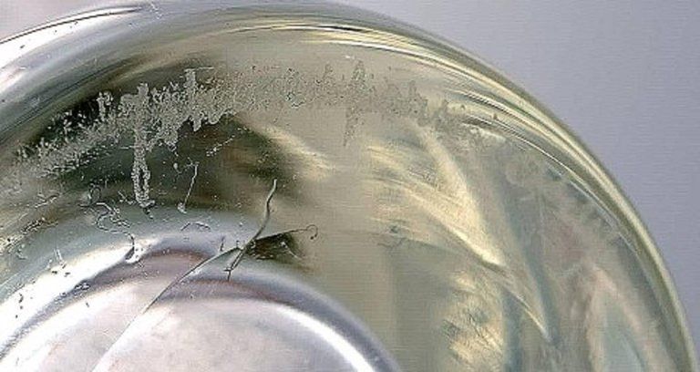 Bengt Orup, Johansfors Art Glass Vase Designed In The 1950s photo 398.0