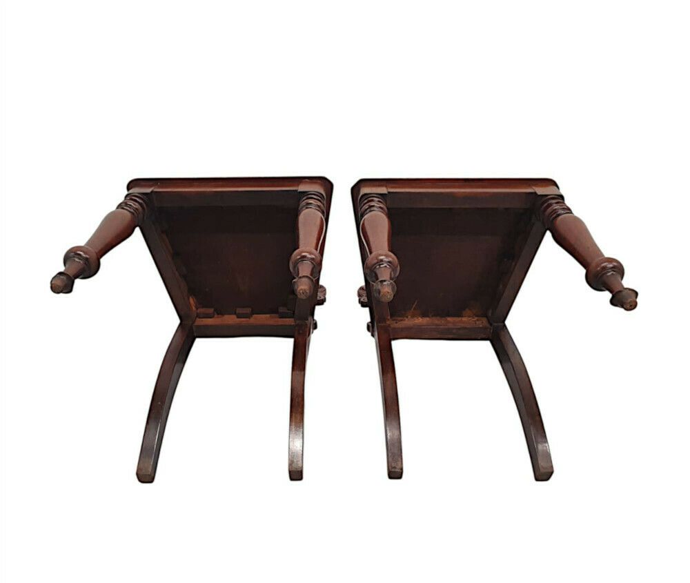 A Very Fine Pair Of 19th Century Hall Chairs photo 1877.2915