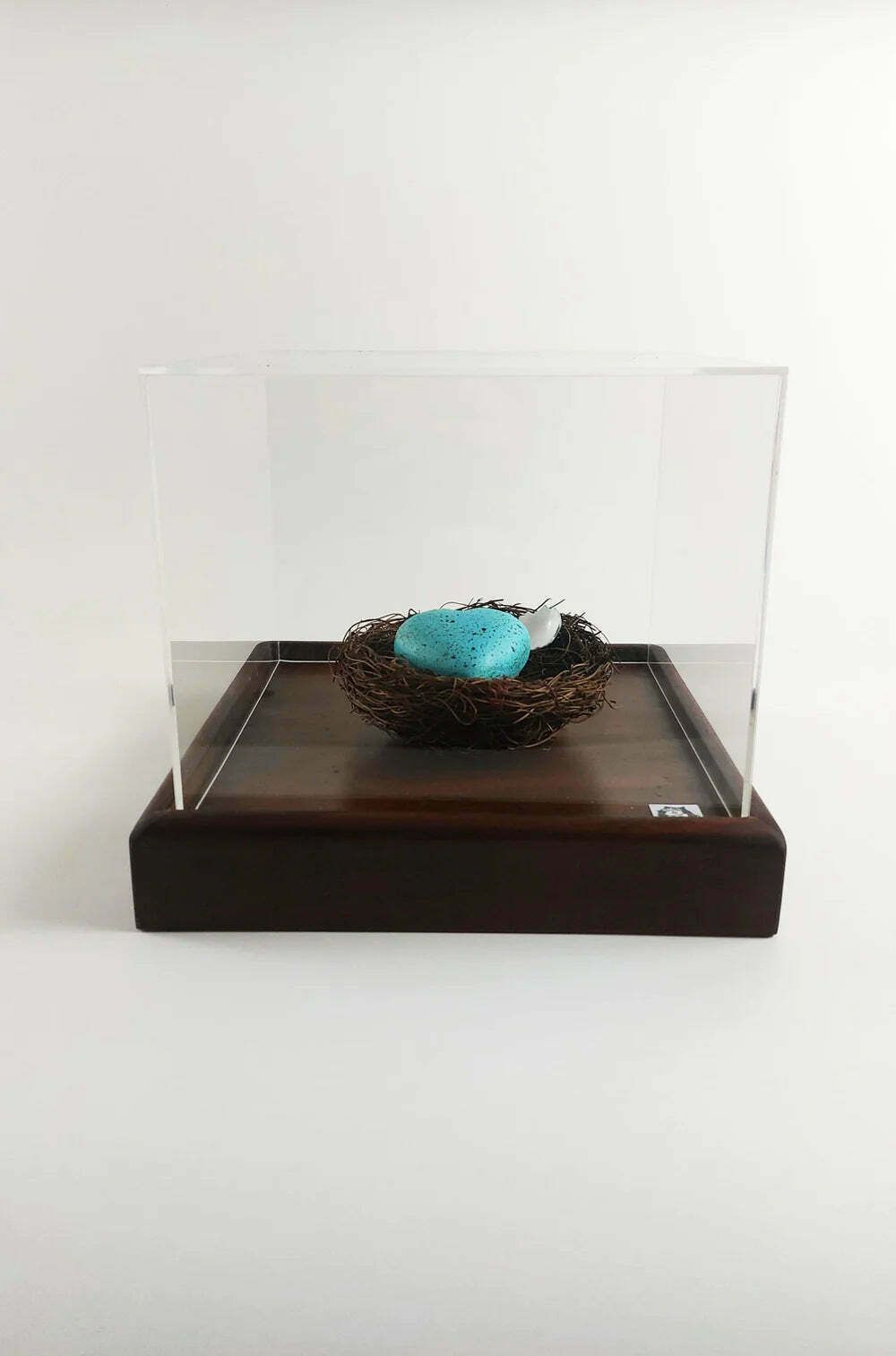 This Bird Has Flown  Hand Painted Ceramic Shell Heart With Natural Material Nest And Oak Base