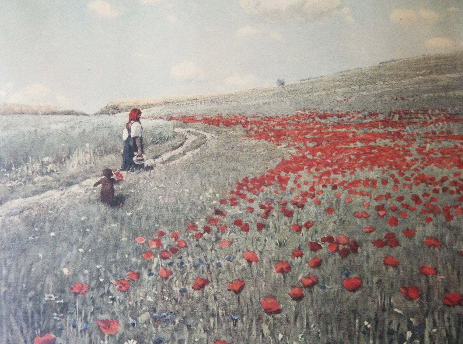 Poppies In The Field, 1970s, Vintage photo vinterior