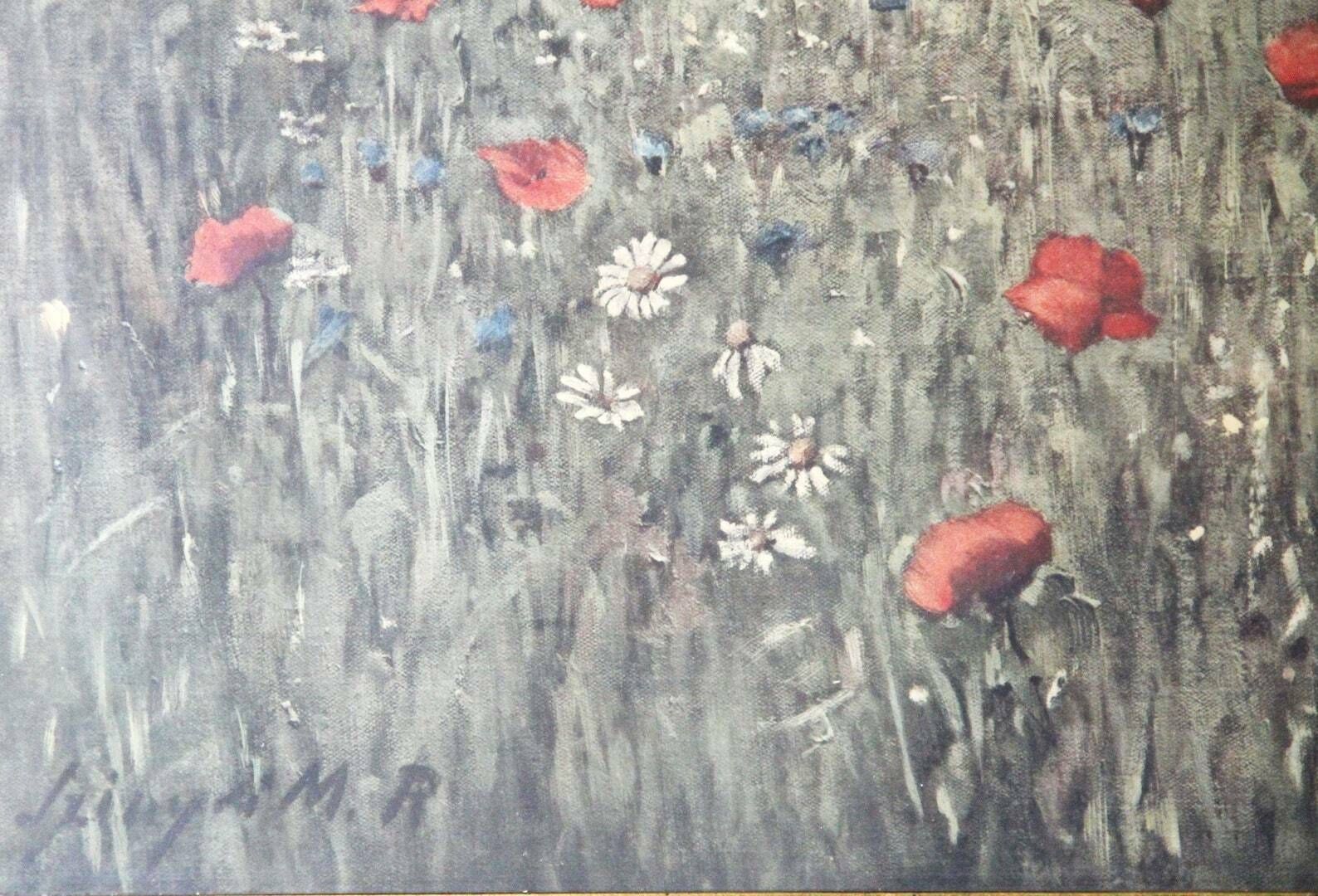photo for sale Poppies In The Field, 1970s, Vintage