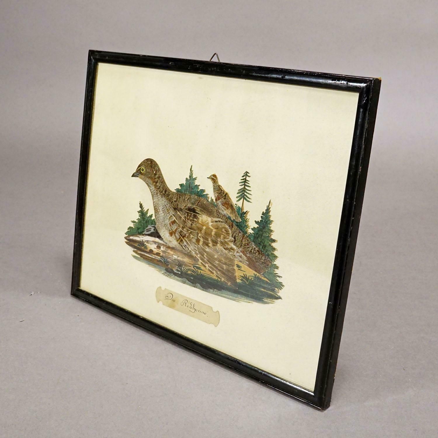 Victorian Taxidermy Diorama With Partridge, Germany Ca. 1900 photo for sale