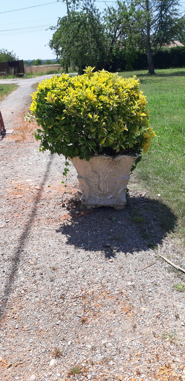 1960s Reconstructed Stone Planter With Plant photo buy