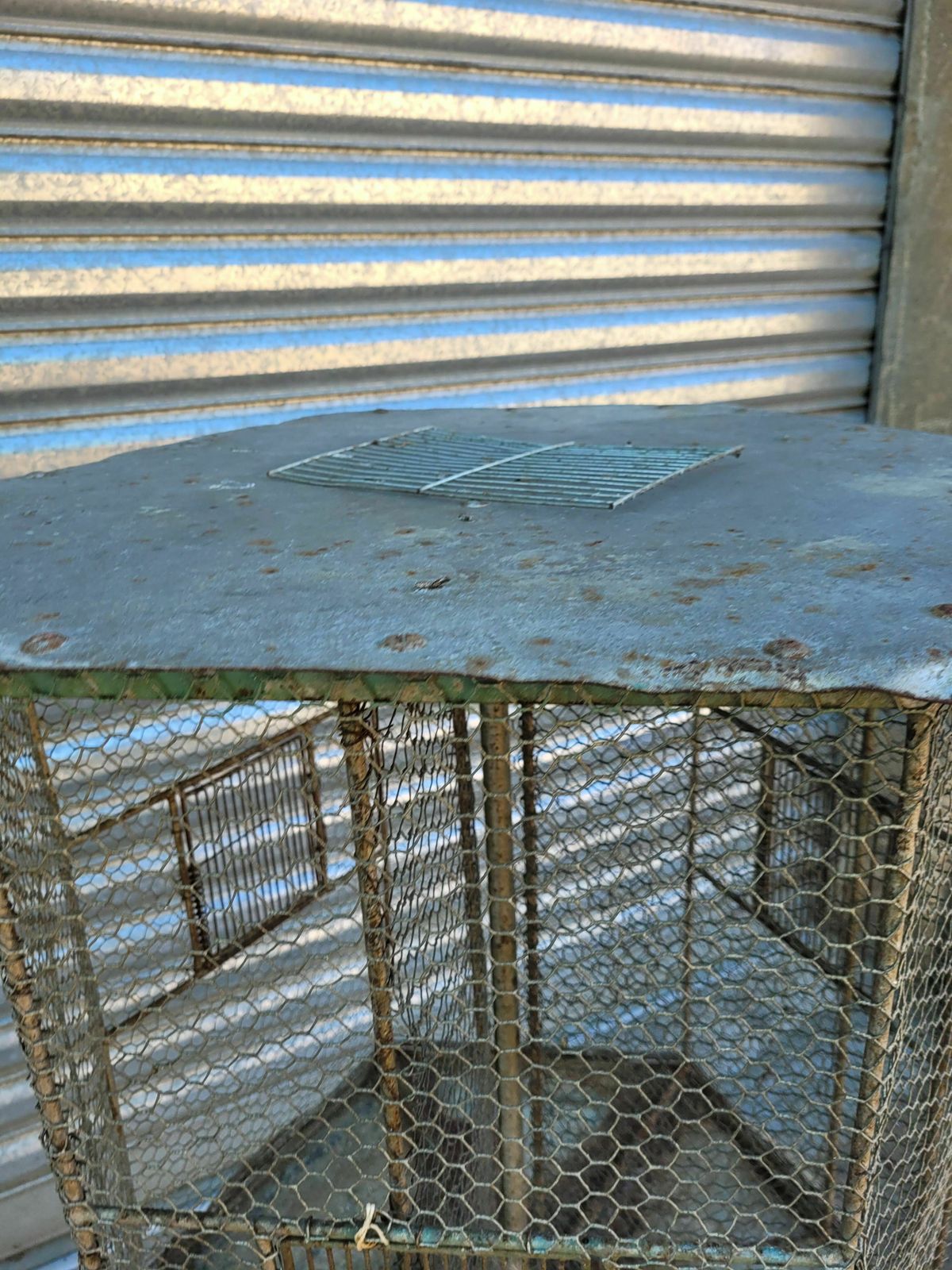 Birdcage On Table photo furniture
