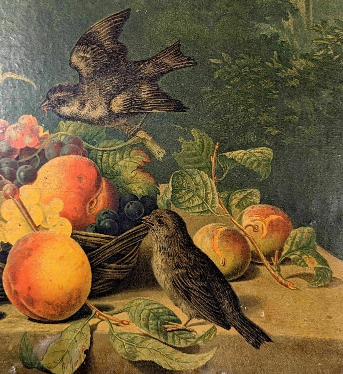 Chromography Still Life With Fruits And Vegetables Peach And Grapes photo furniture