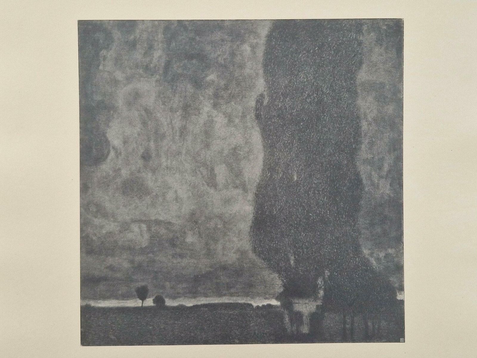 Gustav Klimt Thunderstorm Collotype On Paper, Das Werk 1914, Art Nouveau Wall Art Print photo furniture