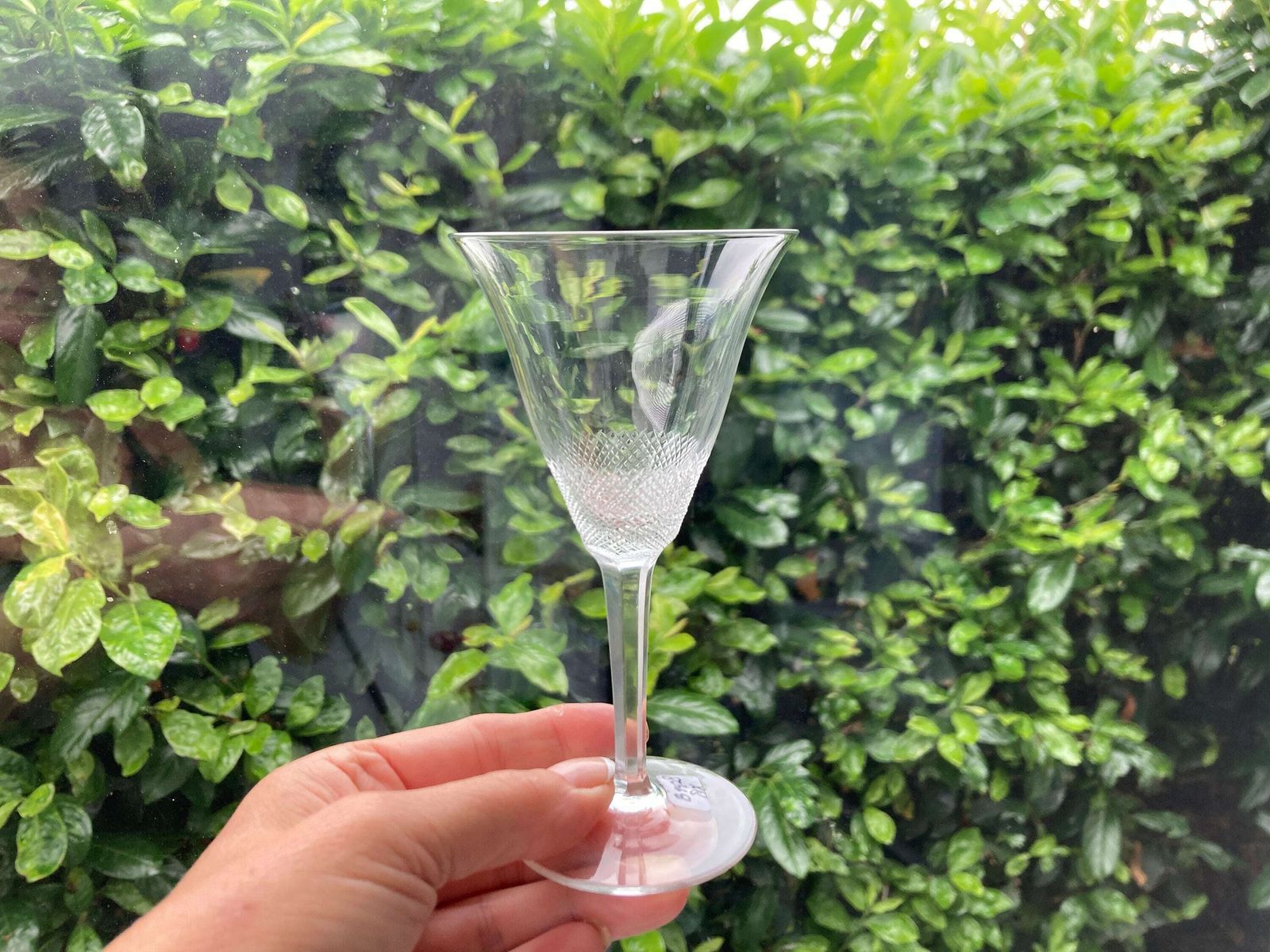 photo furniture Moser Lloyd Wine Glasses | Select A Size | Design Tyra Lundgren 1922