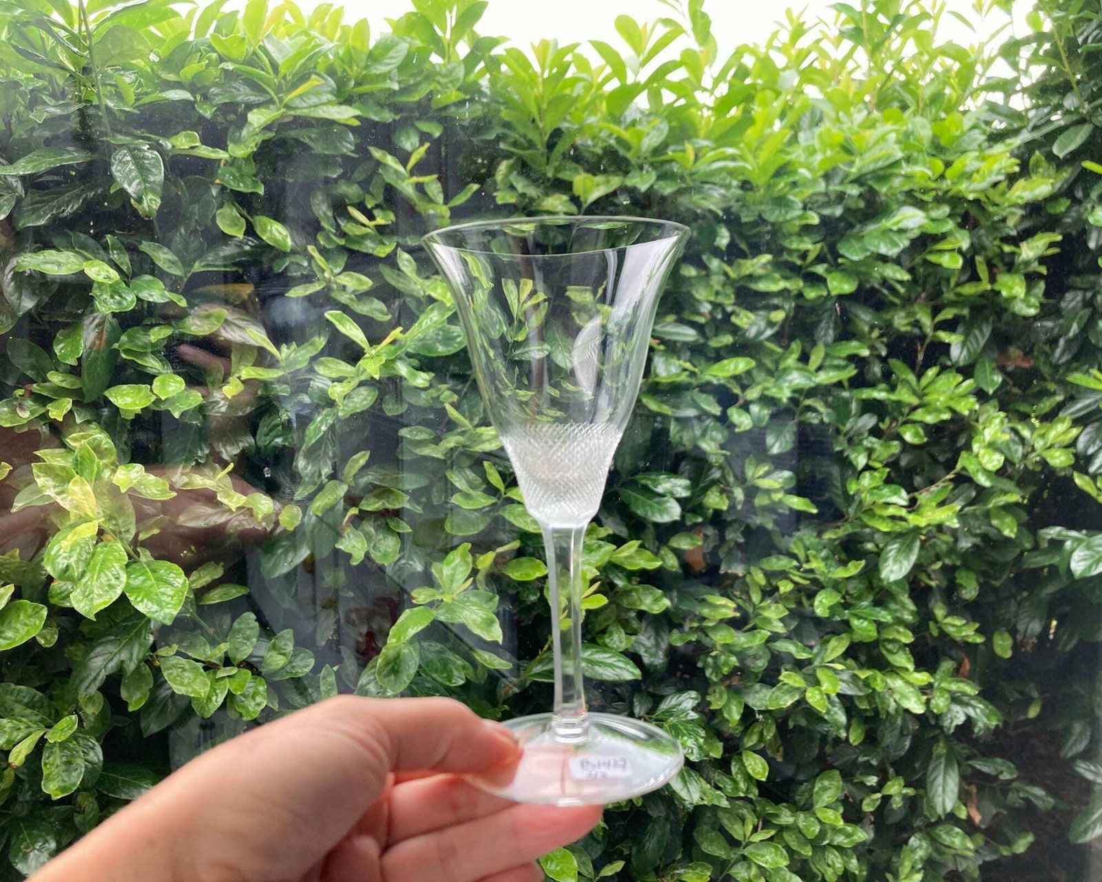 photo for sale Moser Lloyd Wine Glasses | Select A Size | Design Tyra Lundgren 1922