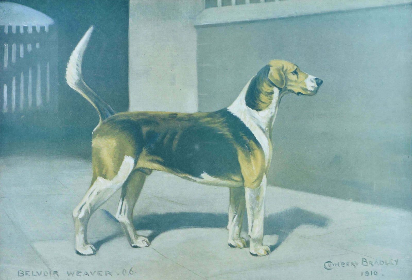 Cuthbert Bradley Belvoir Weaver Hunting Hound Print By Cuthbert Bradley