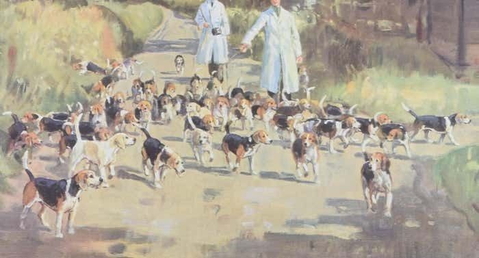 Bolebroke Beagles Hunting Lithograph After Peter Biegel photo furniture