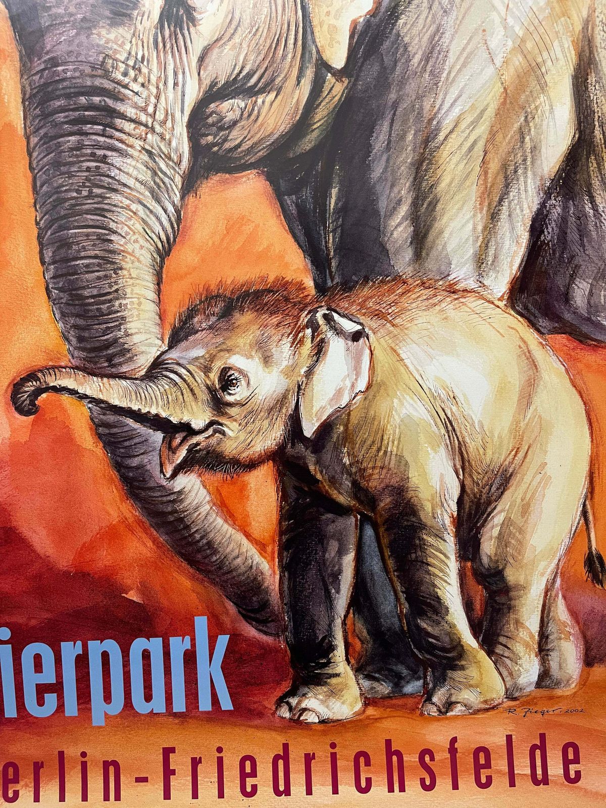 Rare Tierpark Berlin Elephants Original Zoo Poster By Reiner Zieger photo for sale