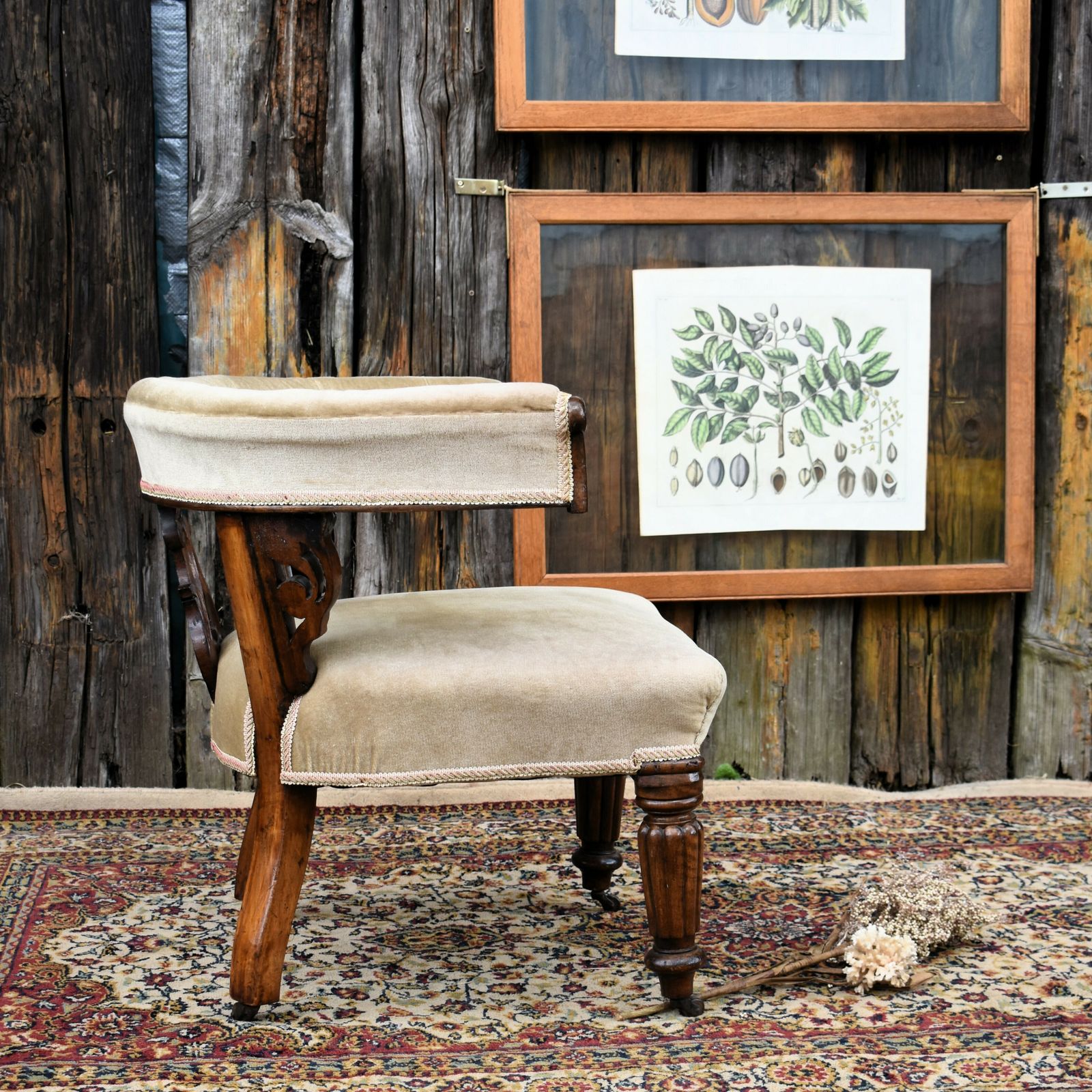 Antique Victorian Mahogany Cockfighting Horseshoe Library Statement Arm Chair photo 595.0