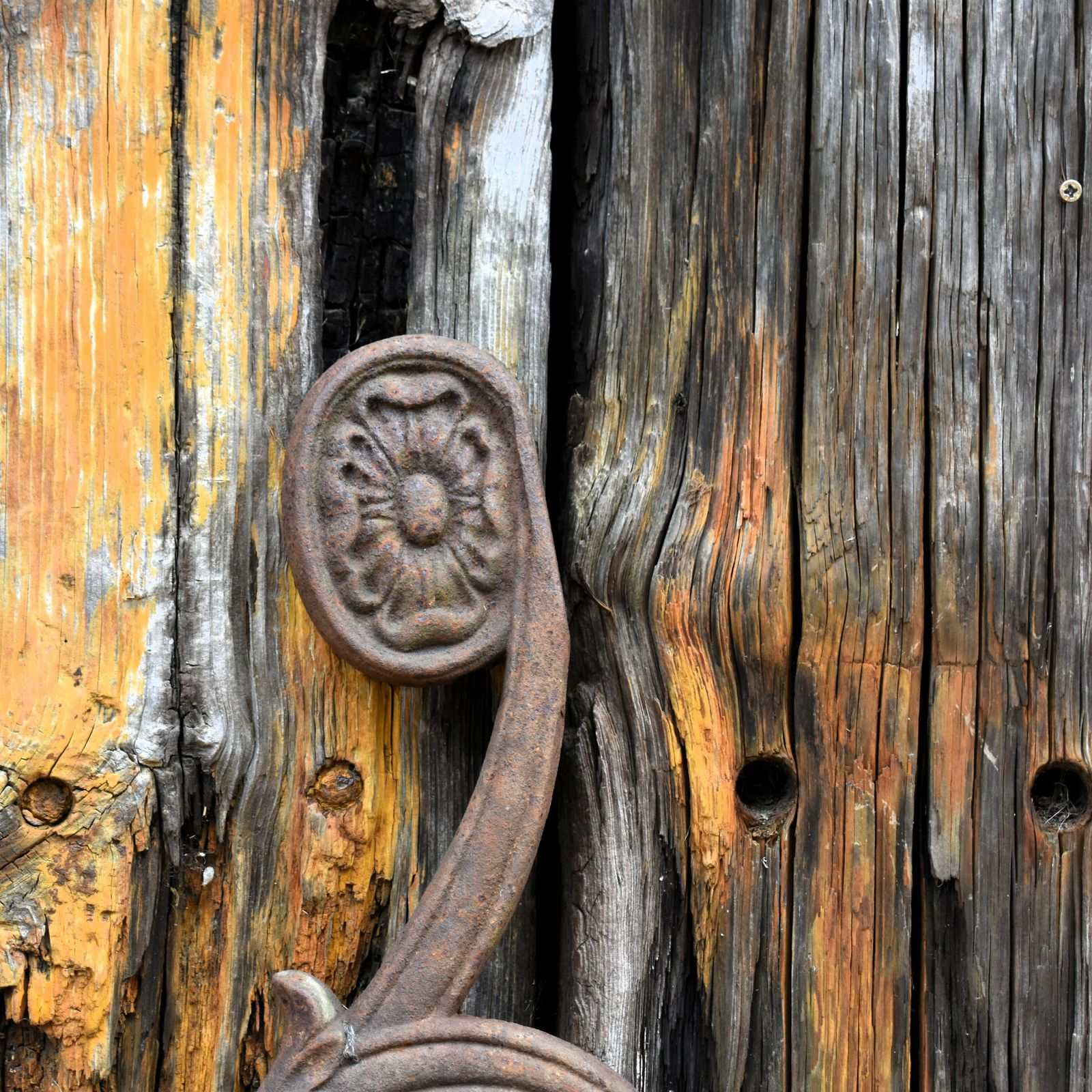Antique Salvage Cast Iron Scroll Architectural Tudor Rose Garden Railing Finial photo buy