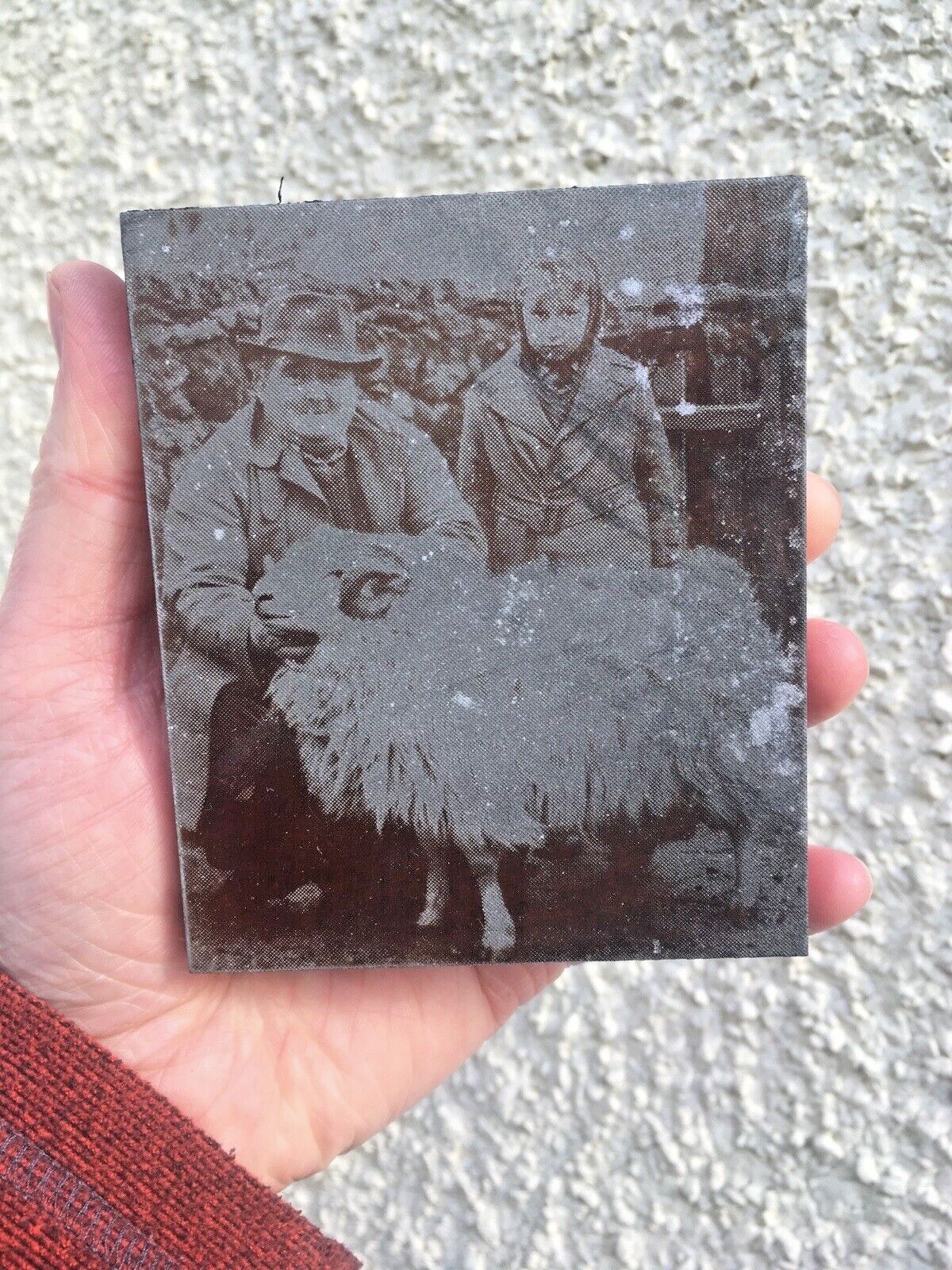 N.Wales Sheep Farmer Prize Ram Etched Copper Printing Plate Block Photo Negative