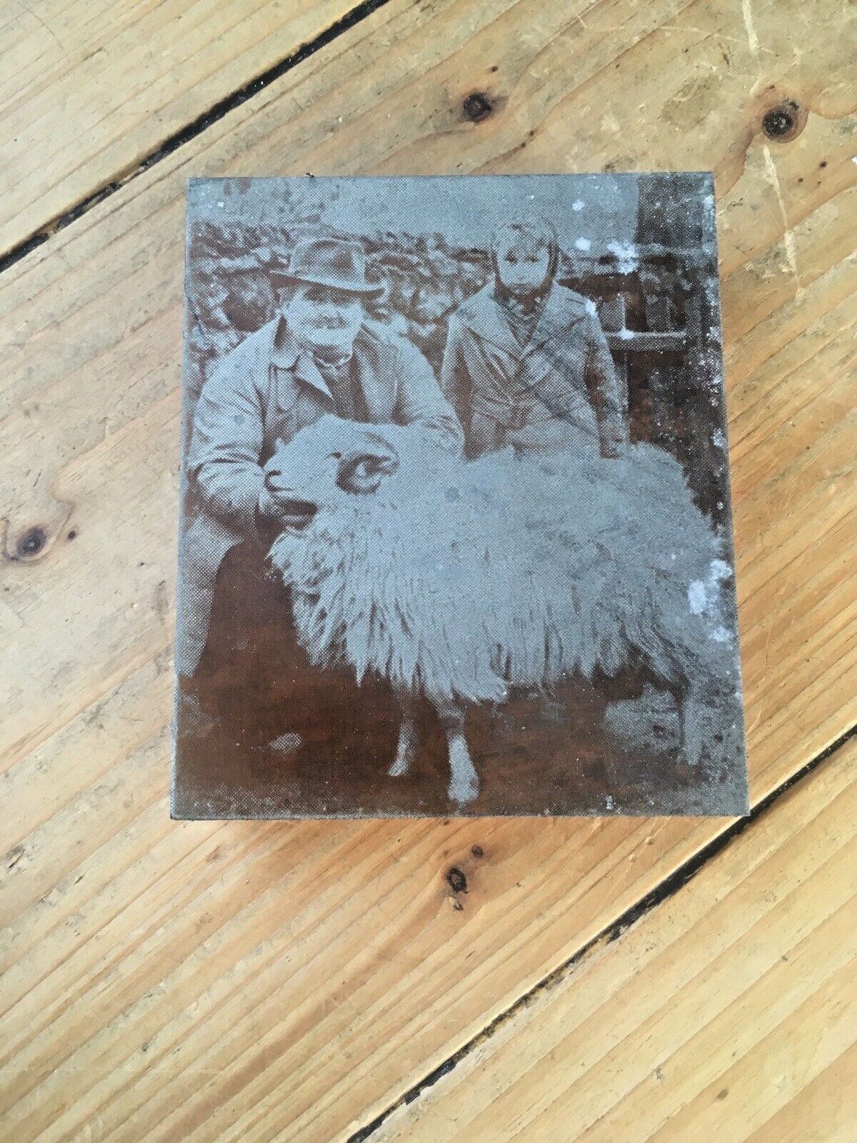 N.Wales Sheep Farmer Prize Ram Etched Copper Printing Plate Block Photo Negative photo furniture