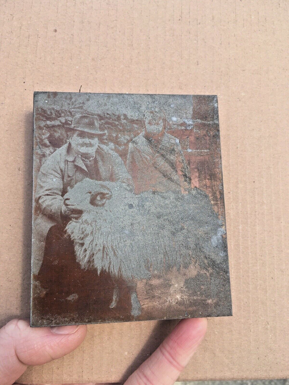 N.Wales Sheep Farmer Prize Ram Etched Copper Printing Plate Block Photo Negative photo Art