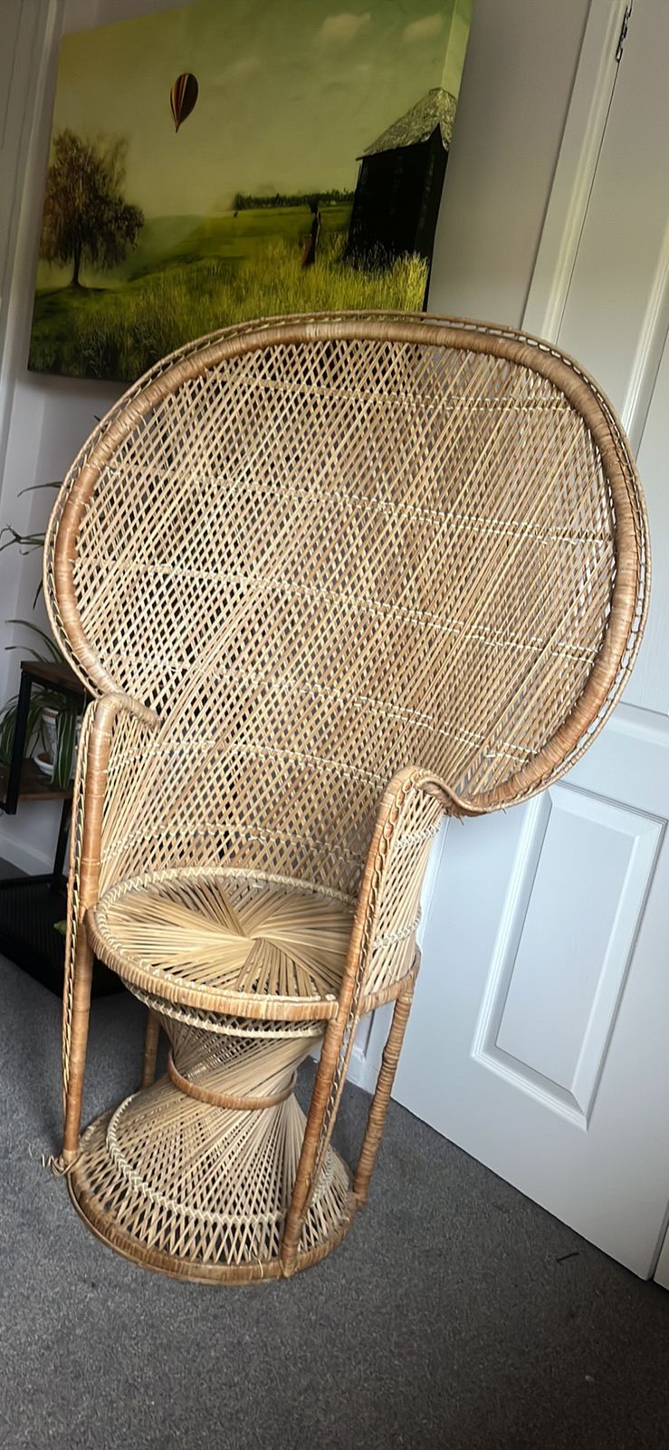 Peacock Chair
