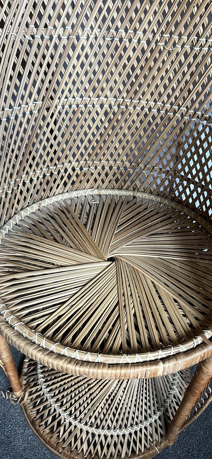 Peacock Chair photo furniture
