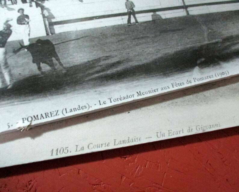 Antique Photographs French Bullfighting Photographs   Course Landaise   French Culture   Bull Fighting Poster   Large Mounted Photos photo vintage