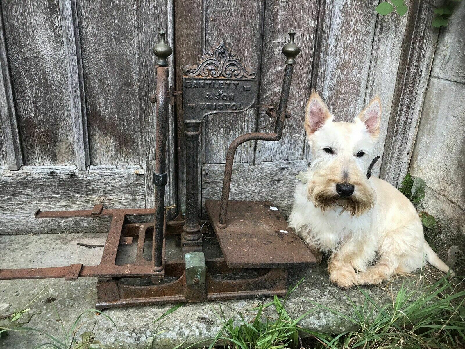 Rare Cast Iron And Bronze Millers Scale By Bartlett And Son photo vintage