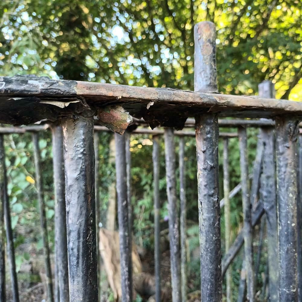 A Run Of Victorian Iron Railings photo vinterior