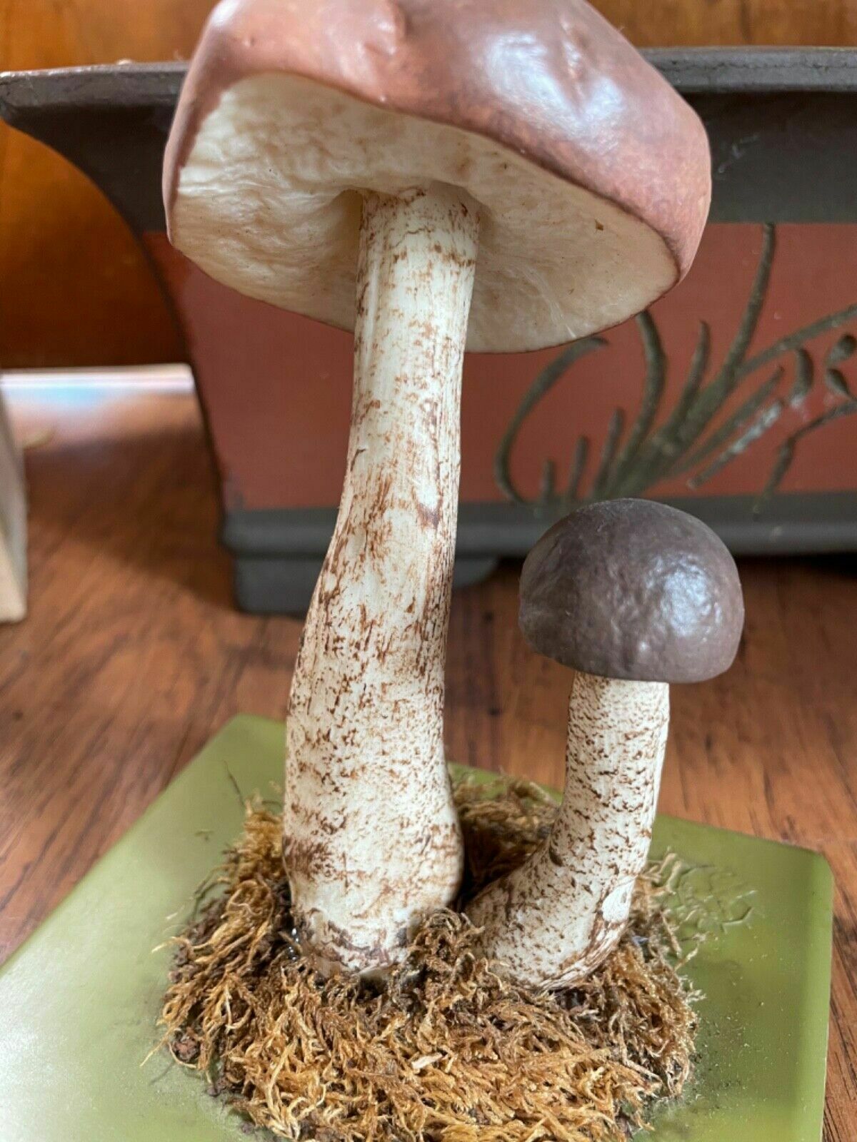 photo furniture Vintage Somso White Birch Bolete Mushroom Educational Model Fungus Toadstool