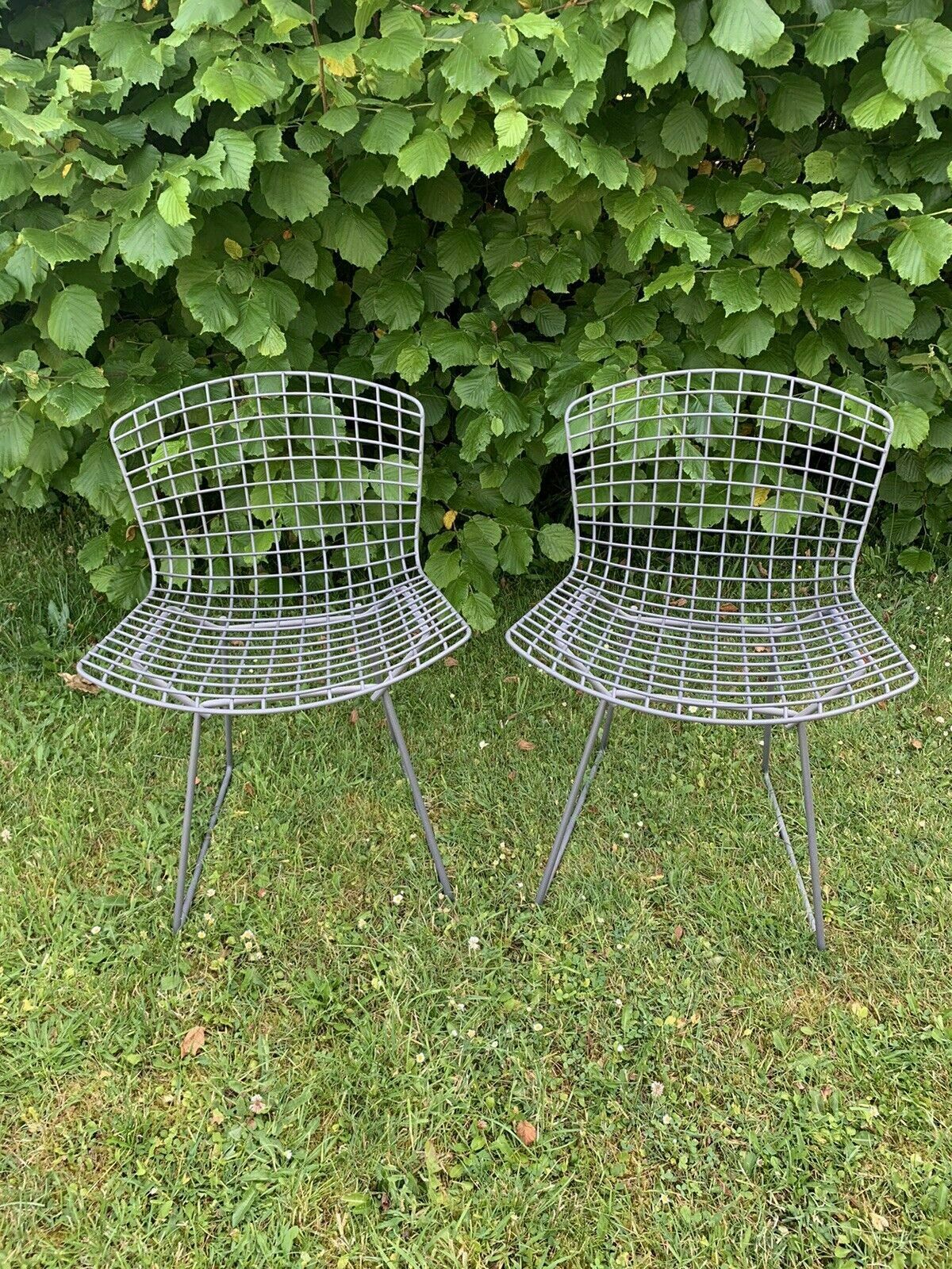 Pair Of Classic Harry Bertoia Knoll Side Chairs