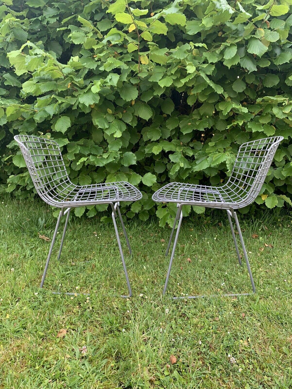 Pair Of Classic Harry Bertoia Knoll Side Chairs photo for sale